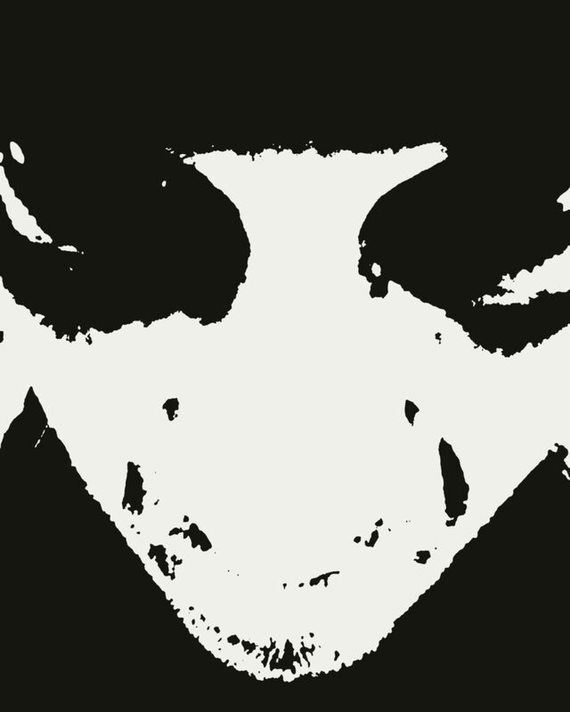 Markoman – face high contrast